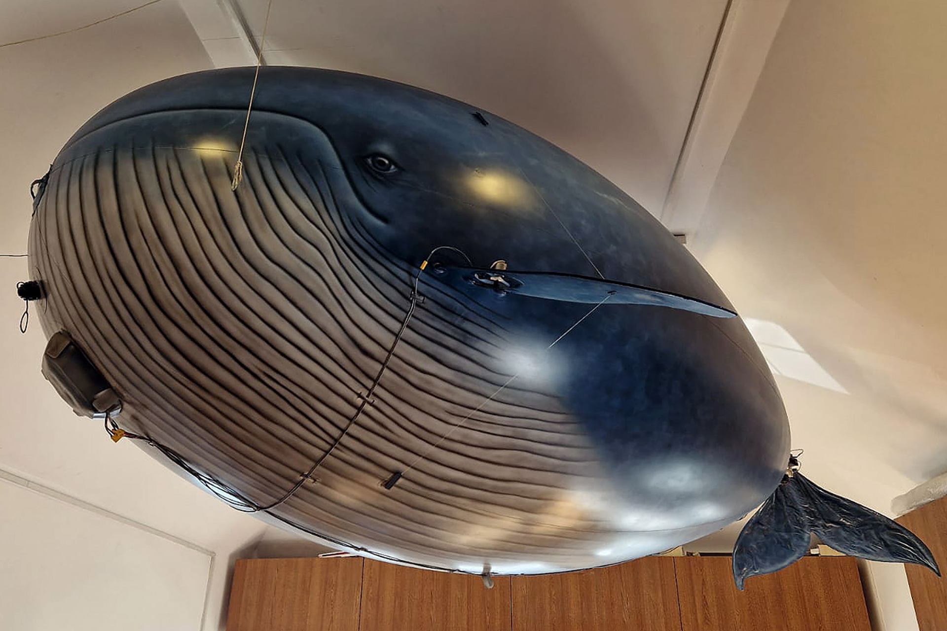 Blue-whale-Blimp